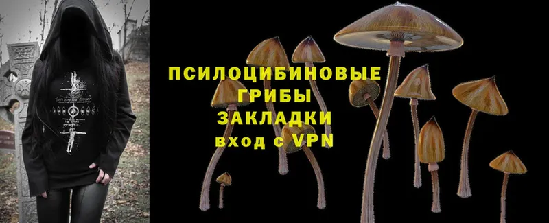 нарко площадка официальный сайт  Бородино  Галлюциногенные грибы мицелий  наркошоп 